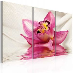 Obraz - Unusual orchid - triptych