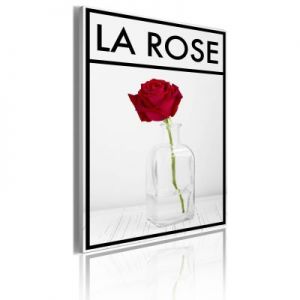 Obraz - La rose
