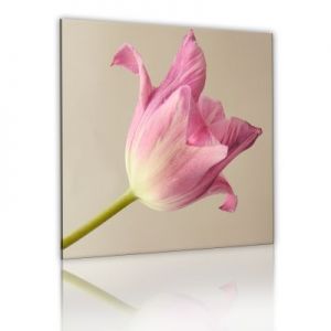 Obraz - Kwiat tulipanu