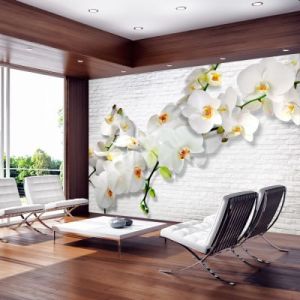 Fototapeta - Orchidee na ścianie